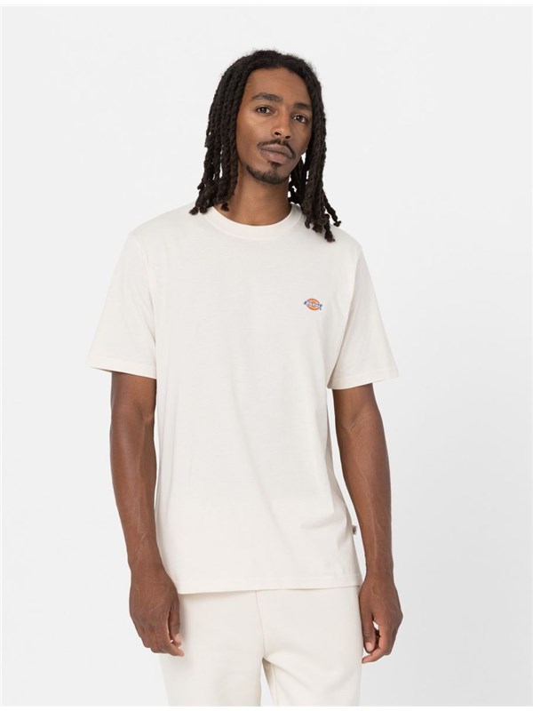 DICKIES T-shirt Whitecap gray