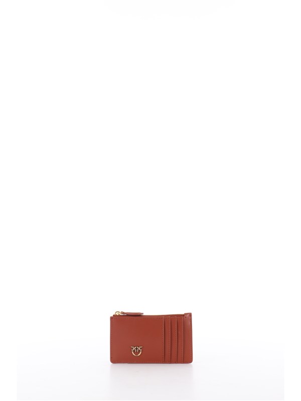 Pinko Pelletteria Credit card holder 