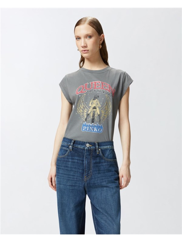 Pinko T-shirt Grigio/gabbiano scuro