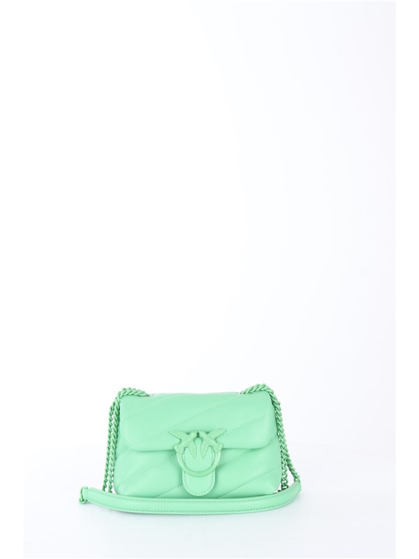 Pinko Pelletteria Shoulder bag Green
