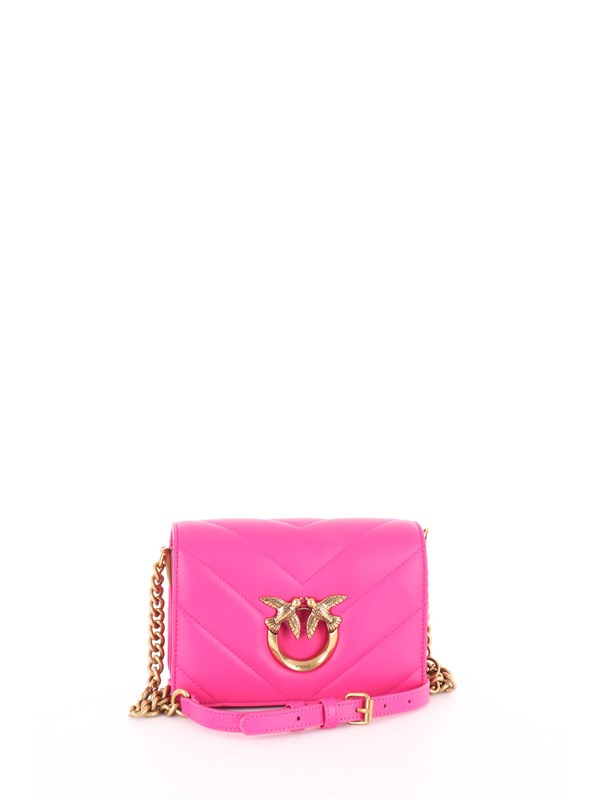 Pinko Pelletteria Shoulder bag 