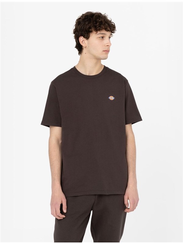 DICKIES T-shirt Dark brown