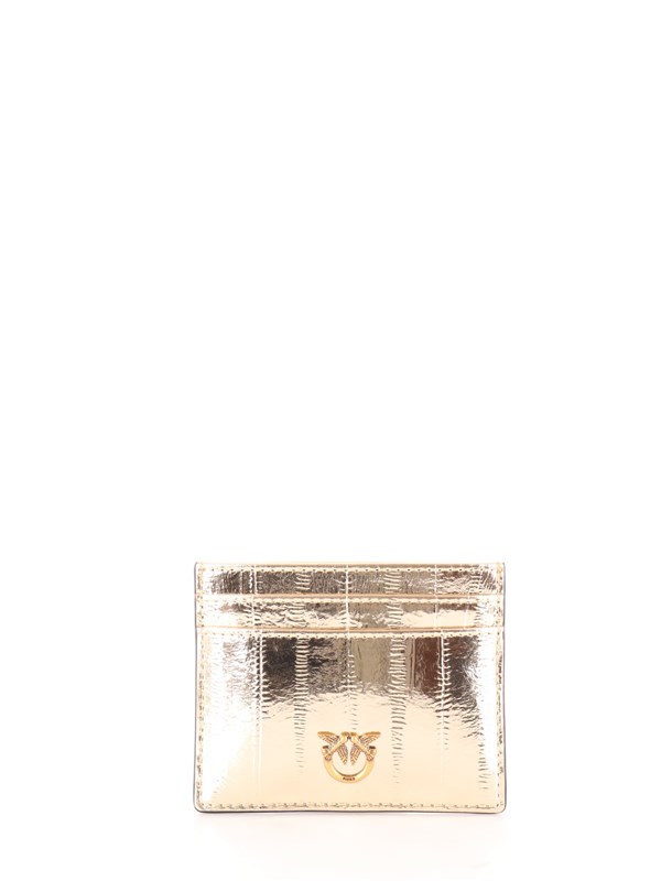Pinko Pelletteria Credit card holder 