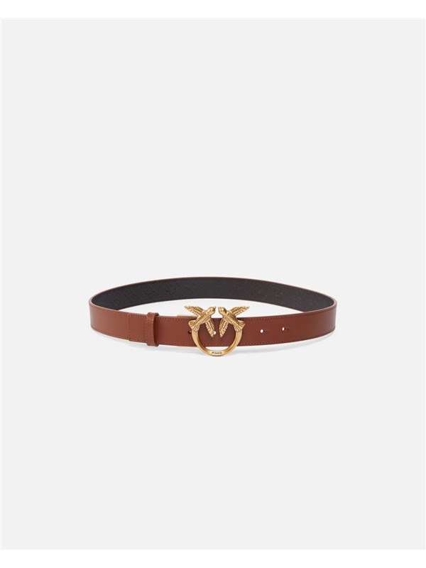 Pinko Pelletteria Cintura Marrone/nero/antique gold