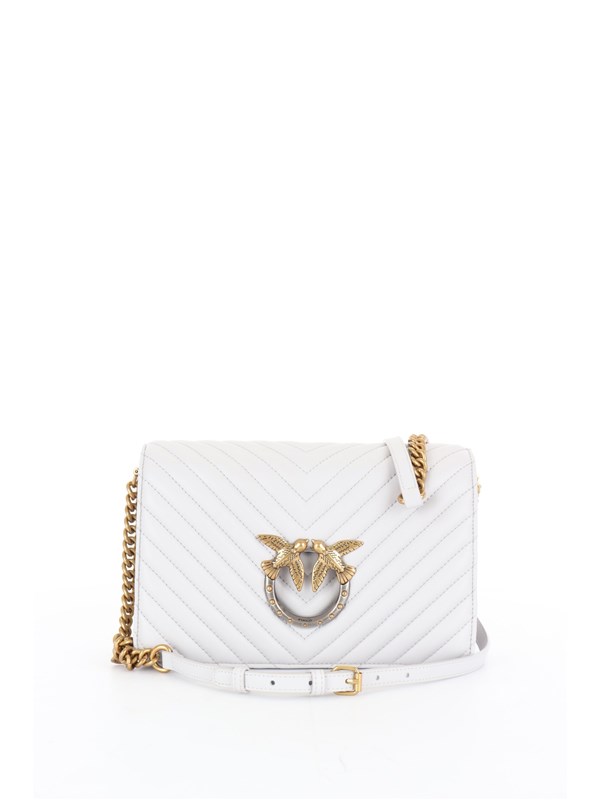 Pinko Pelletteria Shoulder bag Gray